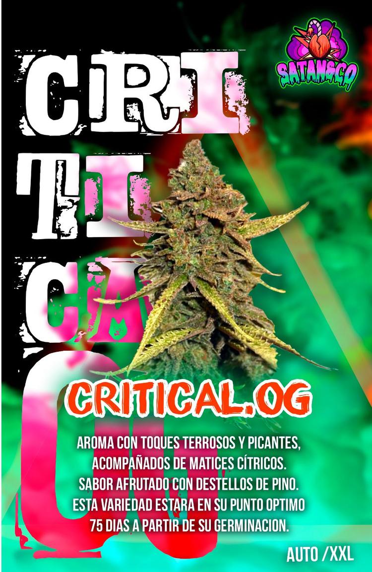 Auto Critical OG